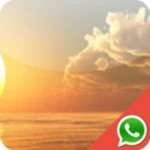 sunset wallpapers for whatsapp android application logo